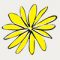 Logo-YR-Flower-100x100-1-NEW