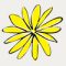 Logo-YR-Flower-100x100-1-NEW